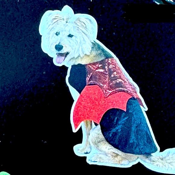 Vampire Dog Costume - Picture 1 of 8
